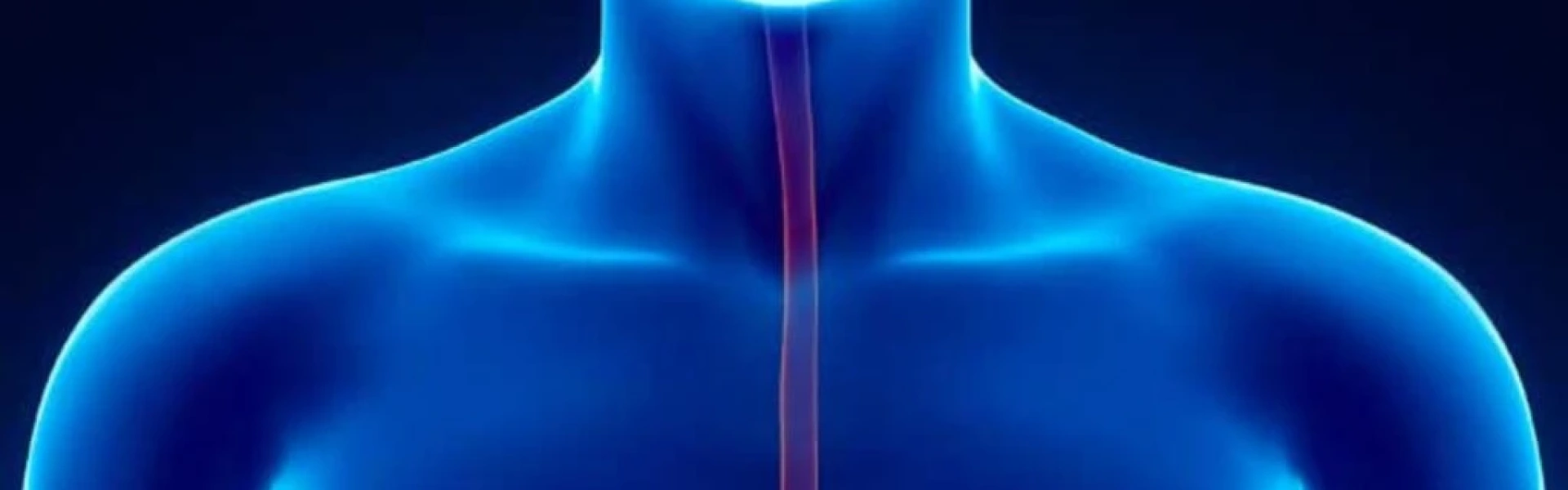 Quando o alimento “trava” no esôfago: entenda o que é acalasia e megaesôfago
