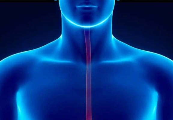 Quando o alimento “trava” no esôfago: entenda o que é acalasia e megaesôfago